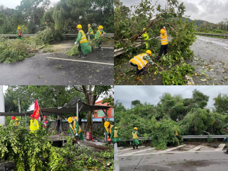 福建高速养护网 -  雷速体育正规平台,雷速（中国）