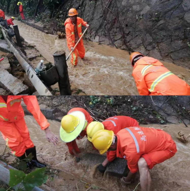 福建高速养护网 -  雷速体育正规平台,雷速（中国）